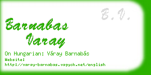 barnabas varay business card
