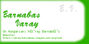 barnabas varay business card